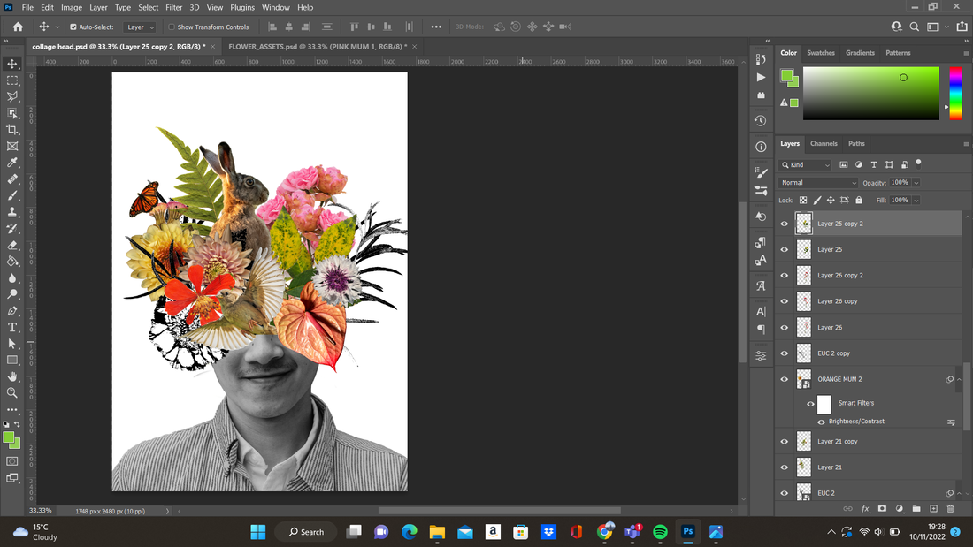 Picture